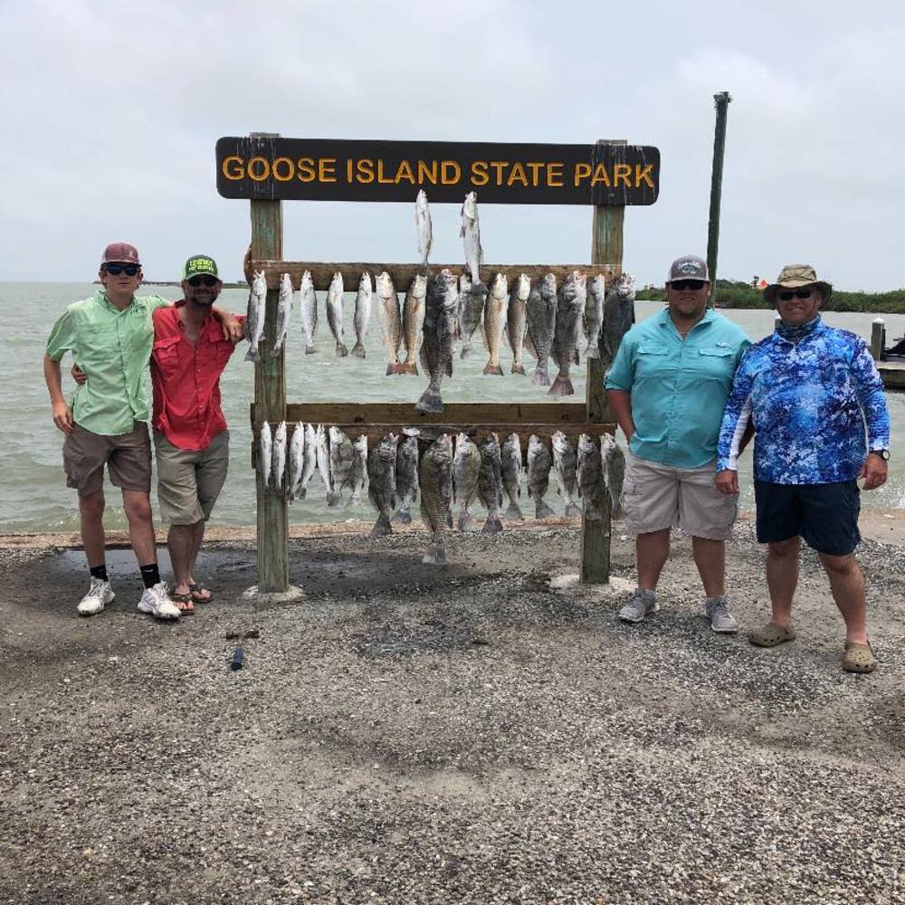 Meet your Posher, Dual